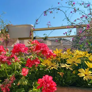 https://luna-1.catalonia-hotels.com